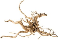 spider wood1