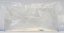 live copepods2