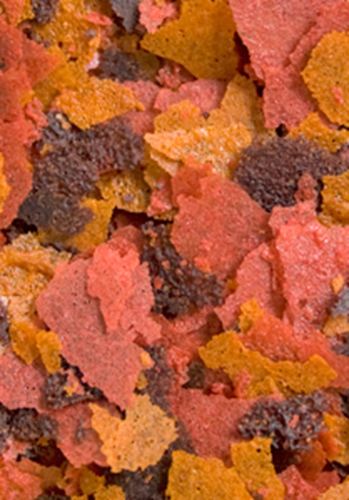brine flakes1