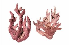 98401 Real Reef Rock Real Reef Rock Fancy Branch 1 600x397