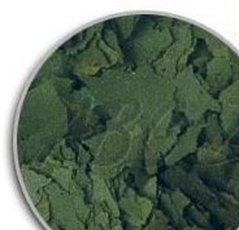 Spirulina super forte 36%