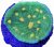 Clipped image 20240323 091349