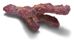 CaribSea Life Rock Belize Branch 9,07 kg
