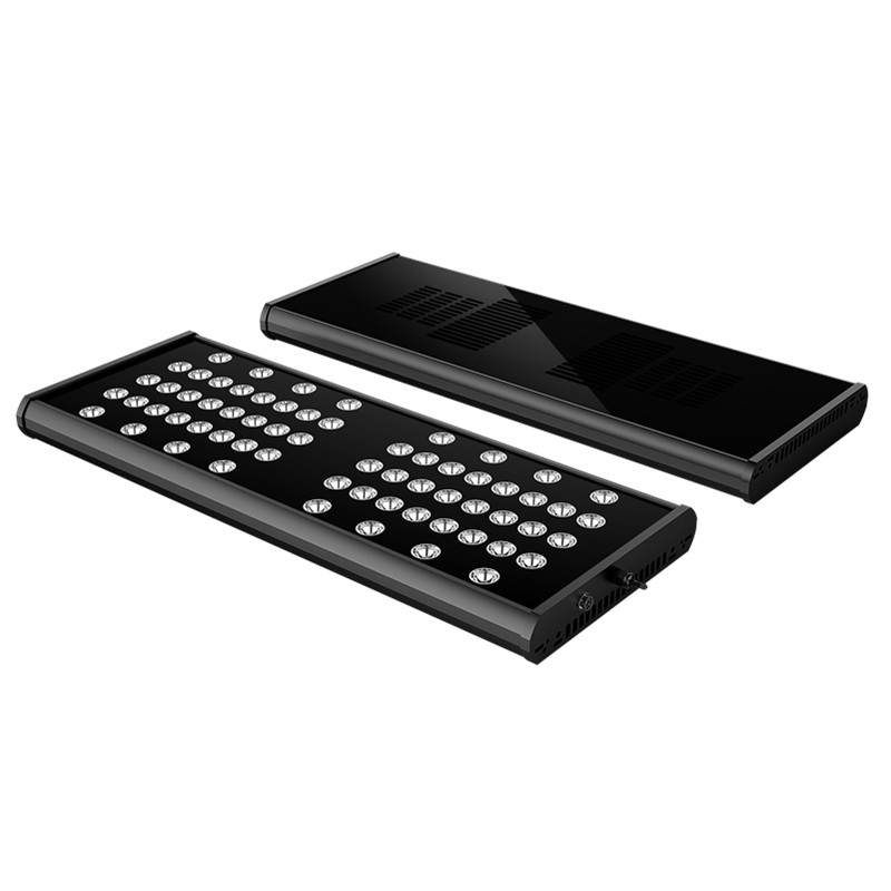 LedZeal Mirage X300 Super Blue Slave