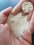 dvh oolites real oolitic sand from the bahamas DVH OOLITE 3