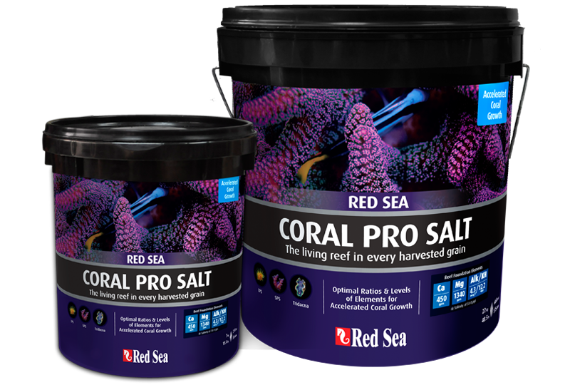 red sea coral pro salt family