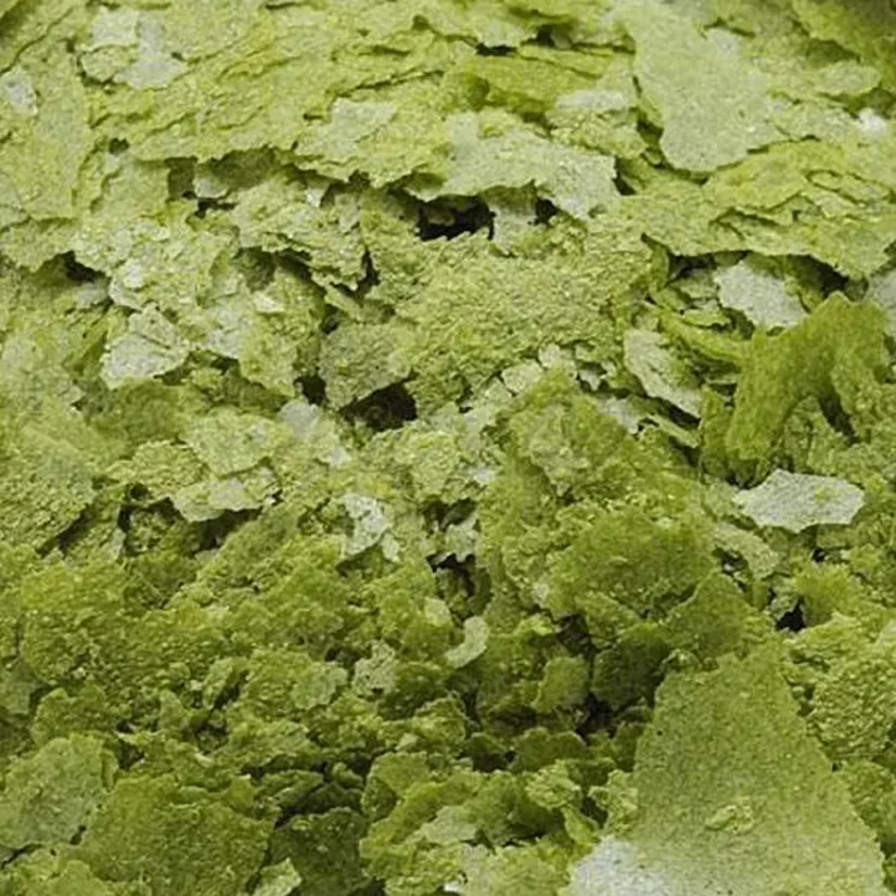 Ocean Nutrition Spirulina Flakes - Težina: 34 g