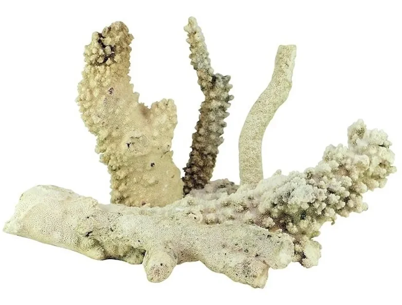 Tonga Branch Rocks přírodní skála