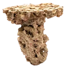 CaribSea Moani Shrooms 9,07 kg