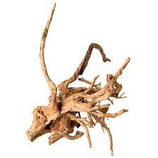 spider wood2