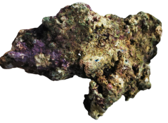 Indonesia Premium Live Rock - živá skála 20 kg