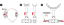 aa tdsdiagone 3