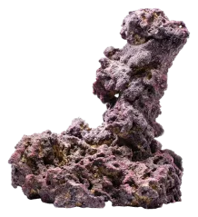CaribSea LifeRock Shrooms 11 kg