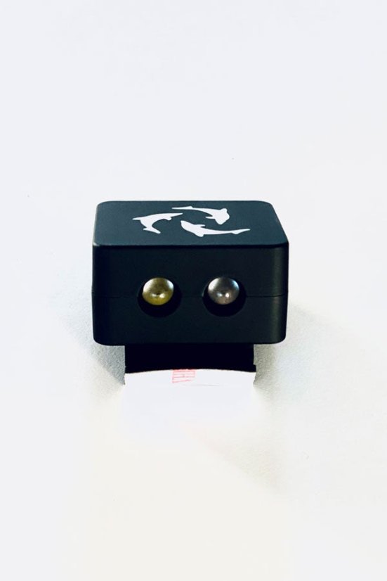 flipper deepsee torch 3