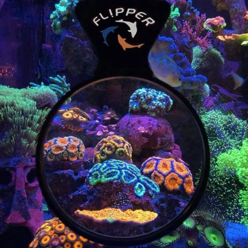 Flipper Viewer magnetsko povećalo