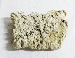 Marine Relief Reef Plates