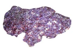 real reef15