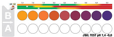 pH 1