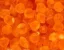 Ocean Nutrition Shell Free Artemia 50 g