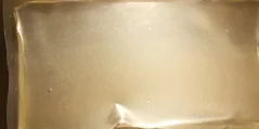 Live Red Rotifer 25×90 ml – Živý Mořský Červený Vířník Brachionus Plicatilis
