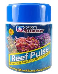reef pulse