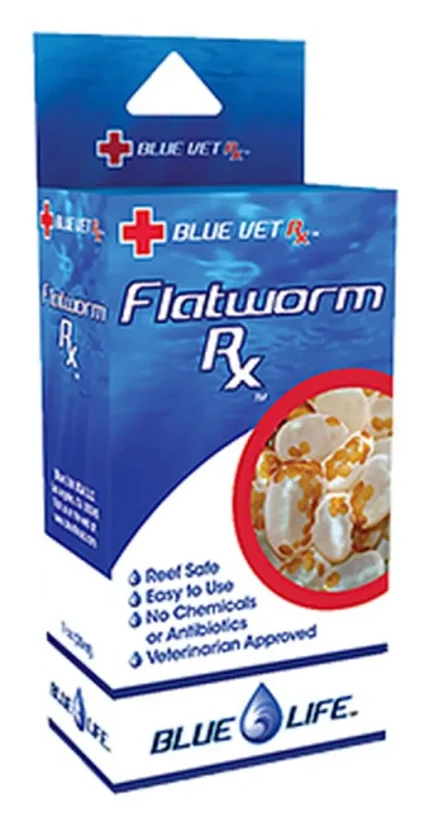 Blue Life USA Flatworm RX