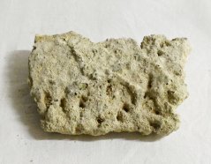 Marine Relief Reef Plates