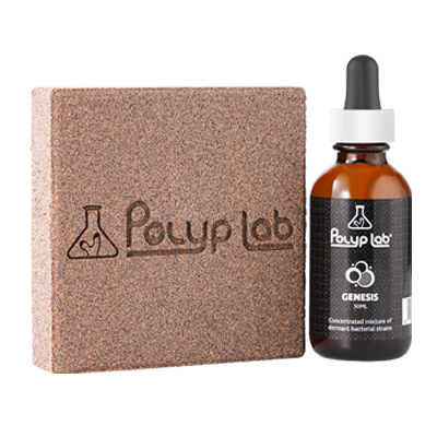 polyplab genesis rock booster 400px