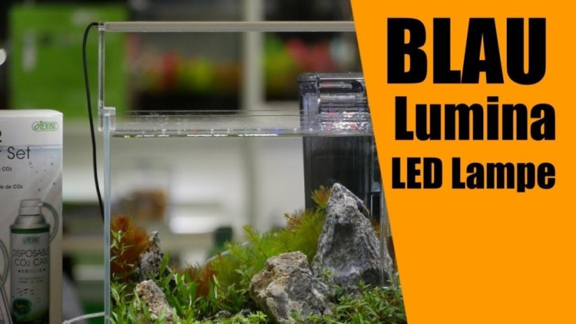 Blau Pico Lumina 9 Marine