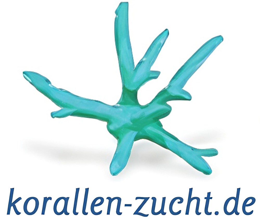 Korallenzucht