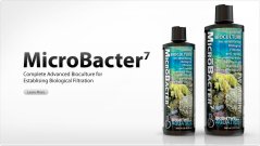 microbacter 7