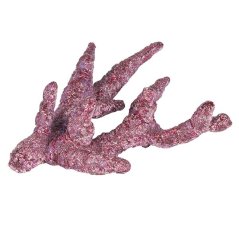 real reef fancy 1