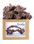 CaribSea Life Rock Shapes 9,07 kg