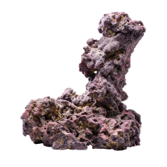 caribsea liferock shrooms 2 per box~2