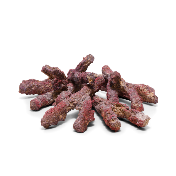 caribsea liferock belize branch 907 kg~10