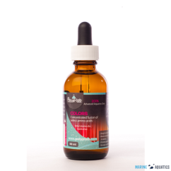 Polyplab Colors 200%