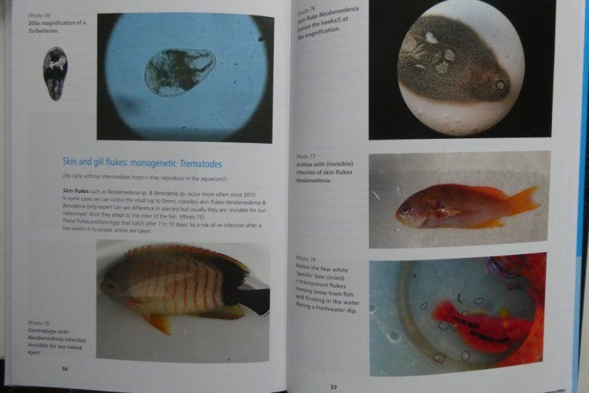 NewMarineBookPages 1 scaled