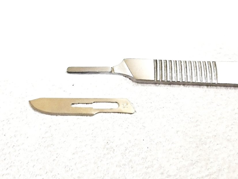 Blau Coral Scalpel 150 mm