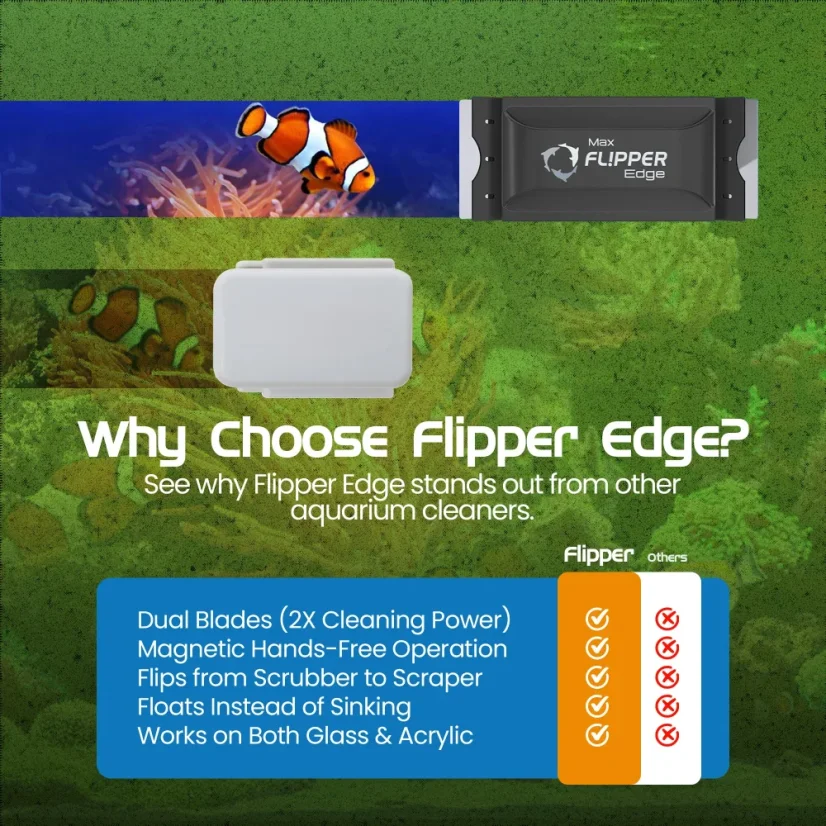 Flipper Edge