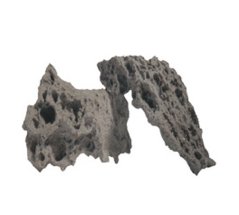 Moonstone skala za morski akvarij