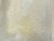live copepods3