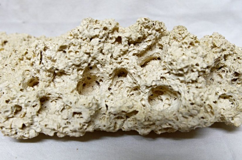 Ceramic Reef Rock Plate