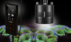 Kessil A360NE Tuna Blue LED Svjetlo