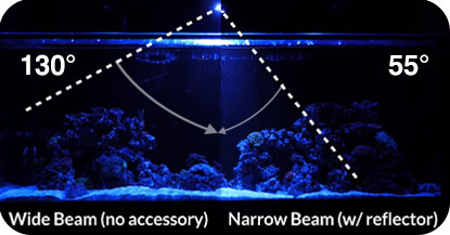 Kessil NarrowReflector Feature 02