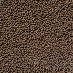 af algae feed m makro zoom