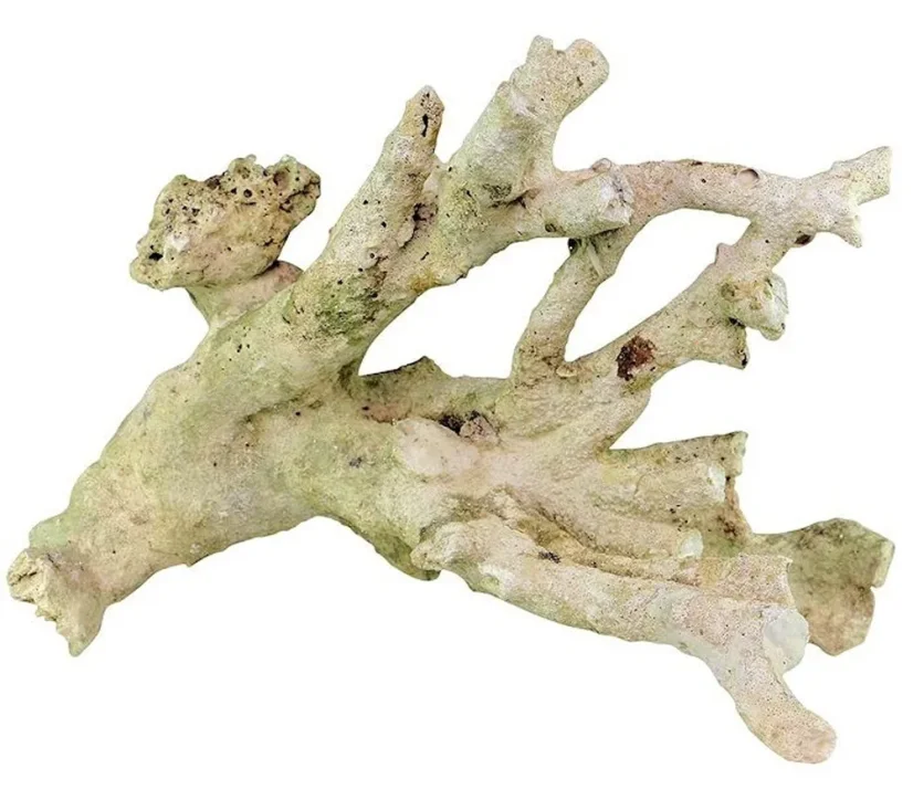Tonga Branch Rocks přírodní skála