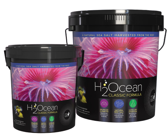 D-D H2Ocean Pro+ Classic Formula Reef Salt 6,6 kg
