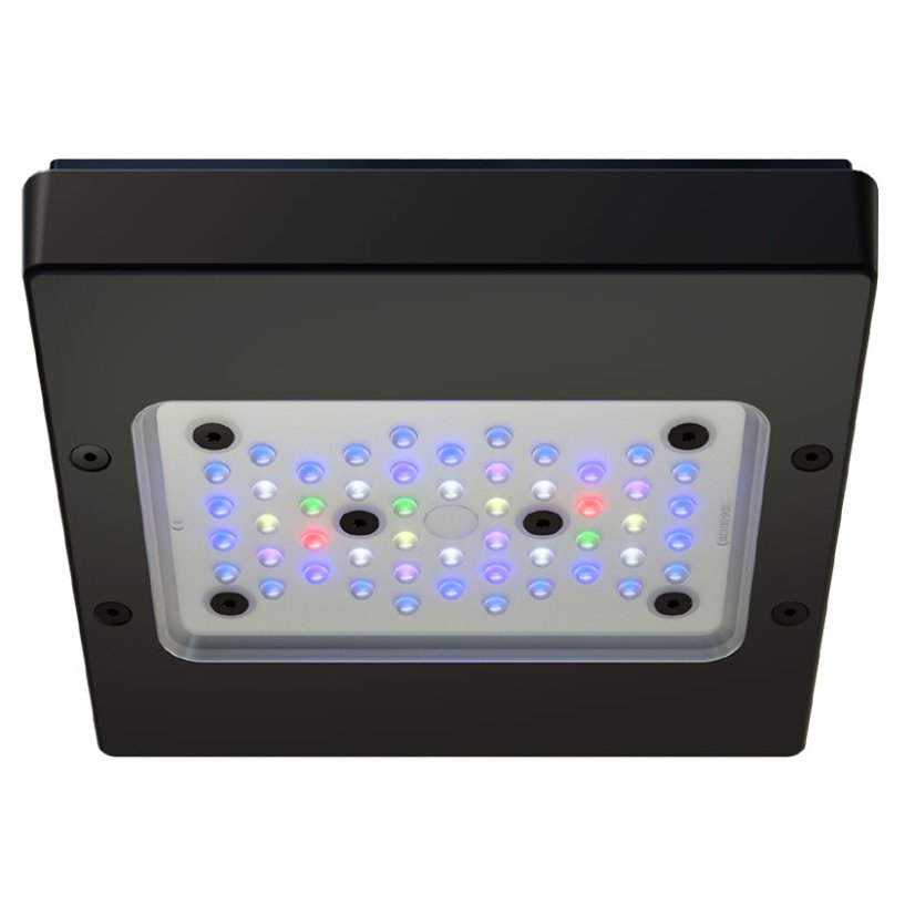 G6 Pro 15 02