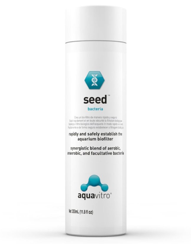 seed