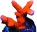 Clipped image 20240316 110046